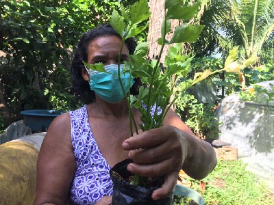 CIR: UNES in El Sakvador: Anpassung an den Klimawandel Frau mit Maske, die eine Strauch festhält